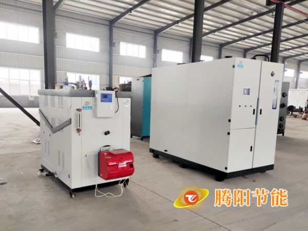 燃?xì)獍l(fā)生器